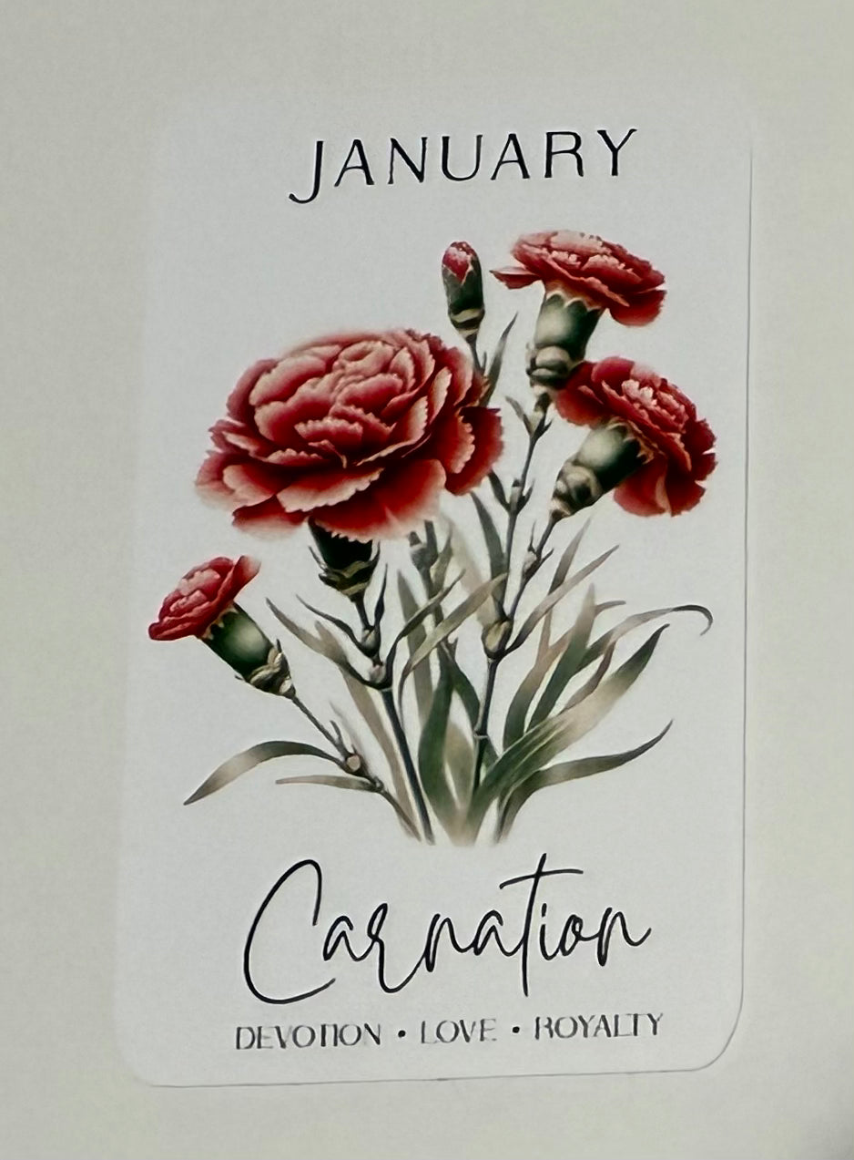 3" January Carnation Flower Sticker (Pack of 2)